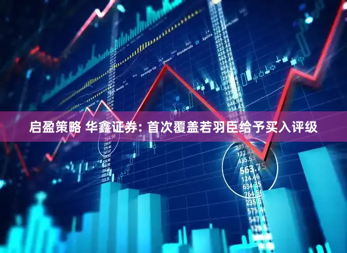 启盈策略 华鑫证券: 首次覆盖若羽臣给予买入评级